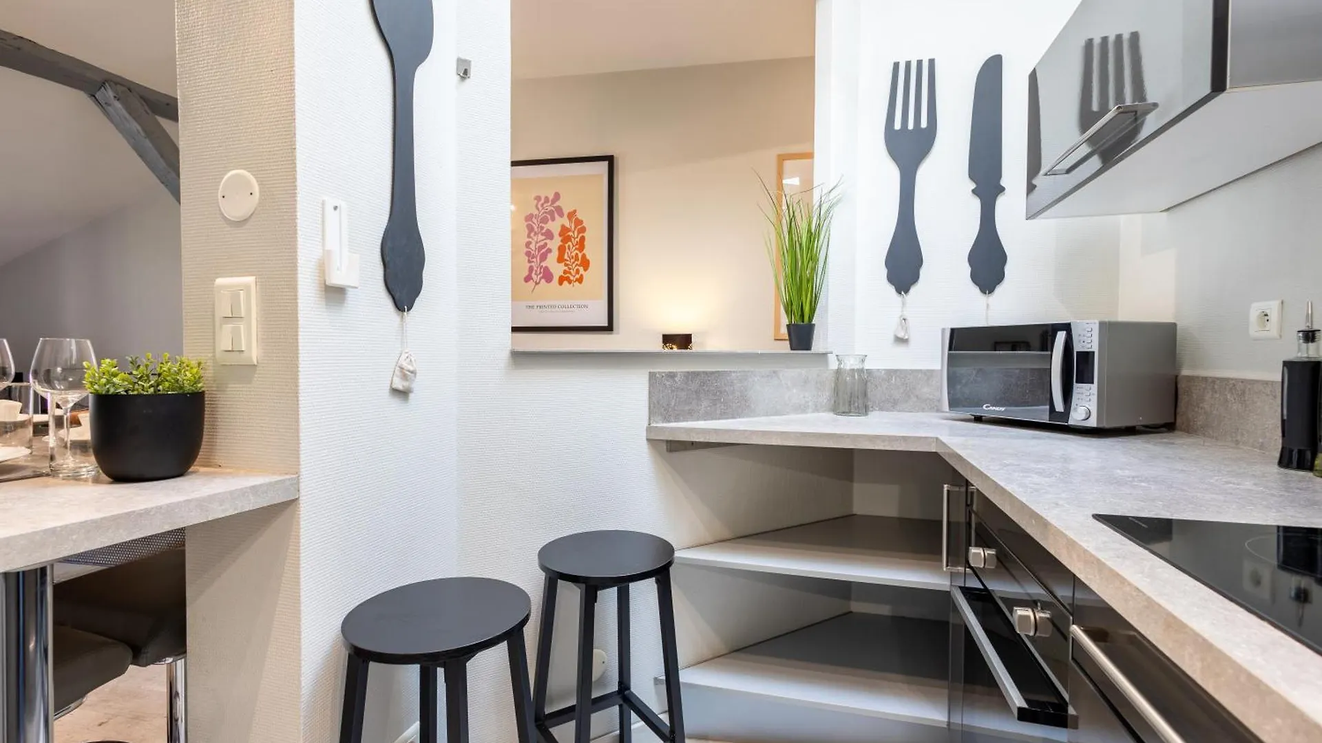 Le Canope - T3 Duplex, 2 Salles D'Eau, Hypercentre Castres  France