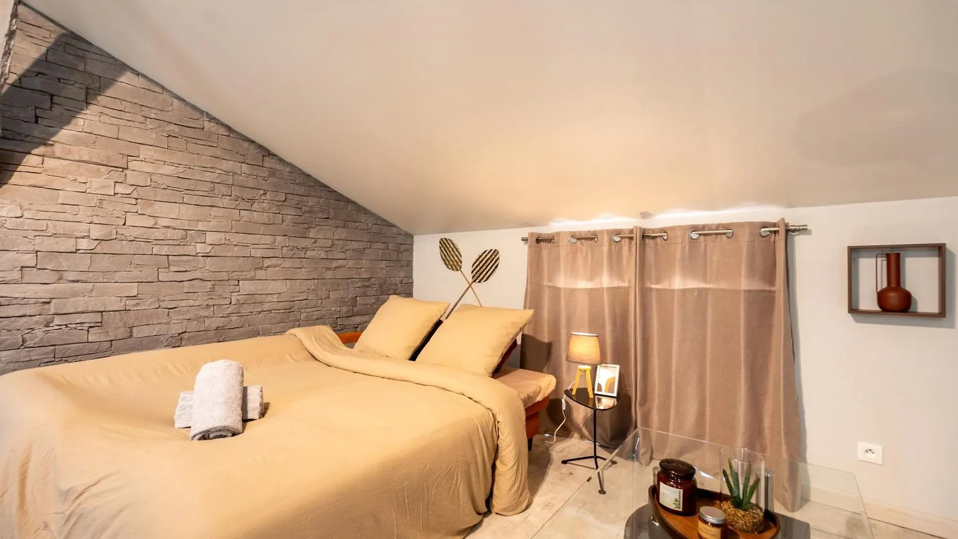 Apartment Le Canope - T3 Duplex, 2 Salles D'Eau, Hypercentre Castres  France
